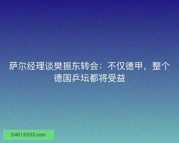 萨尔经理谈樊振东转会：不仅德甲，整个德国乒坛都将受益